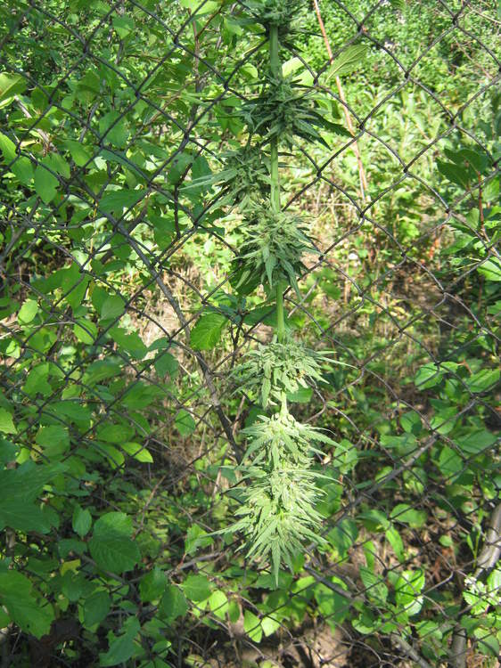 IMG_3156.JPG
