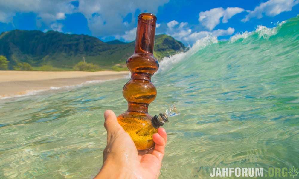 hawaii-med-weed.jpg