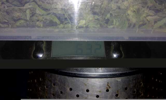 250 грам сухаря.