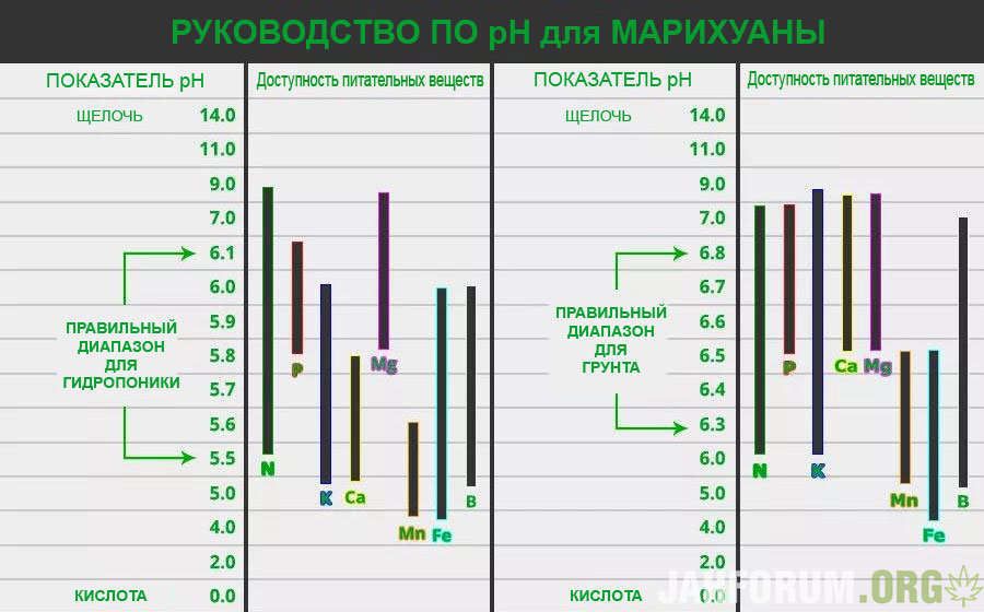 Nastolnoe-rukovodstvo-po-P.jpg.610b315ae3d69637ba05cec3123eddbb.jpg