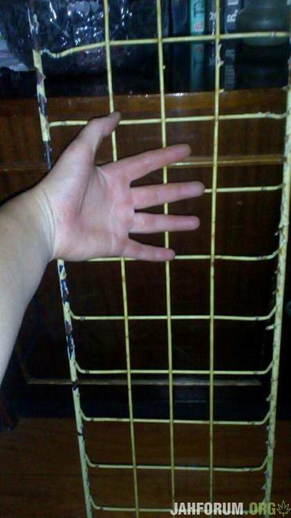 photo_2018-09-18_23-52-17.thumb.jpg.c3027f25b180559e38f953e84cc968cf.jpg