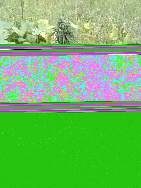 20180907_103256.jpg