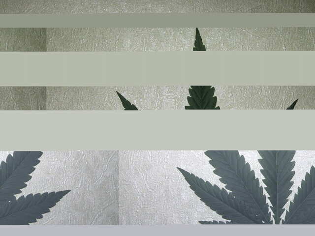 C Днем Гровера банда)).JPG