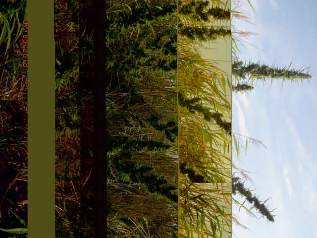 ...скоро СТАРТ, епта)))