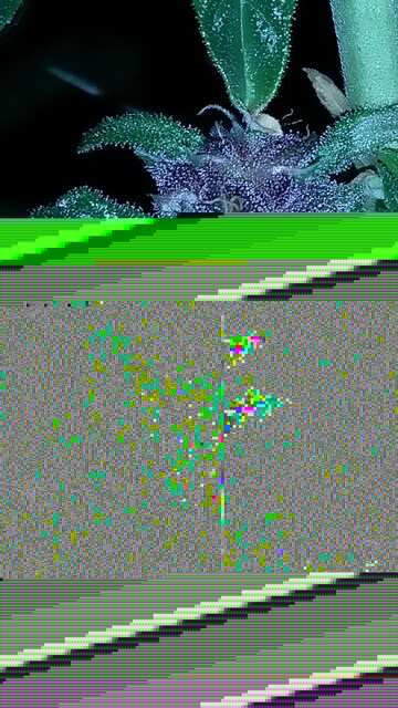 Screenshot_20180916-223237.jpeg