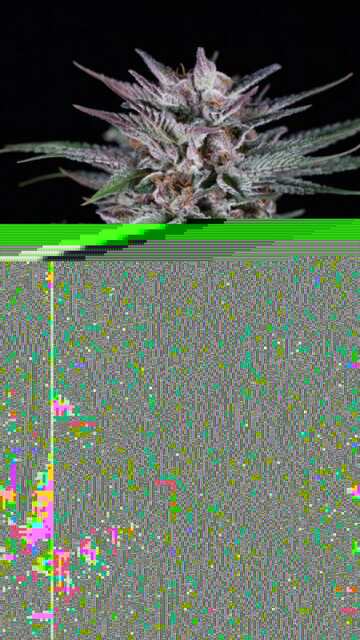 Screenshot_20180921-081940.jpeg
