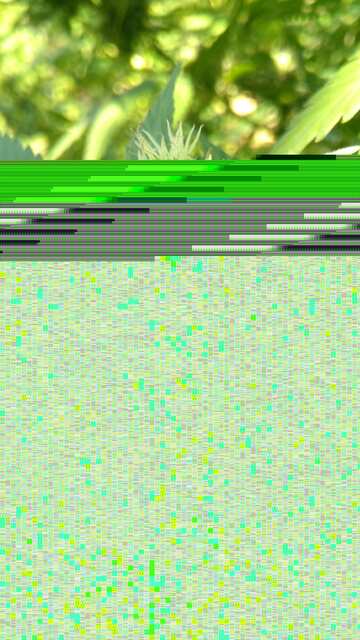 Screenshot_20180921-165839.jpeg