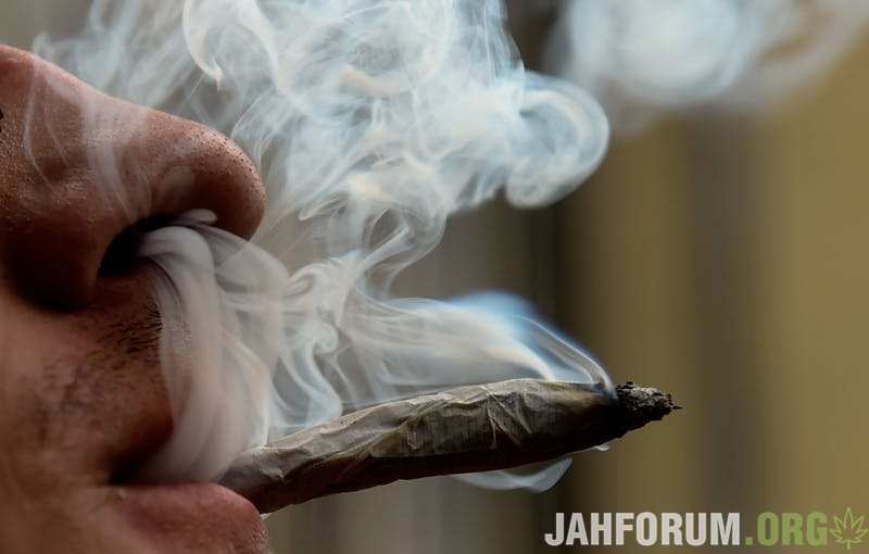 1-5-Shutdowns-to-Marijuana-Myths-Every-Cannabis-Enthusiast-Should-Know.jpg