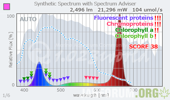 1020243708_(5).png.015f05fd6d865d1f37a46499f89189c4.png