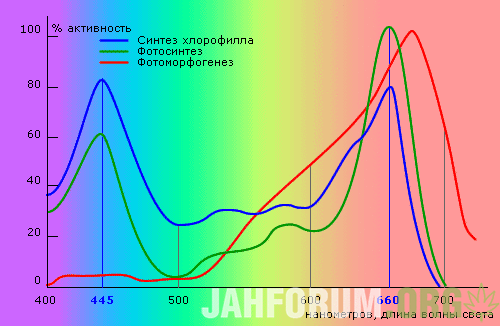 activ.gif.d93baa61f602dee02d494bdfc8db8223.gif