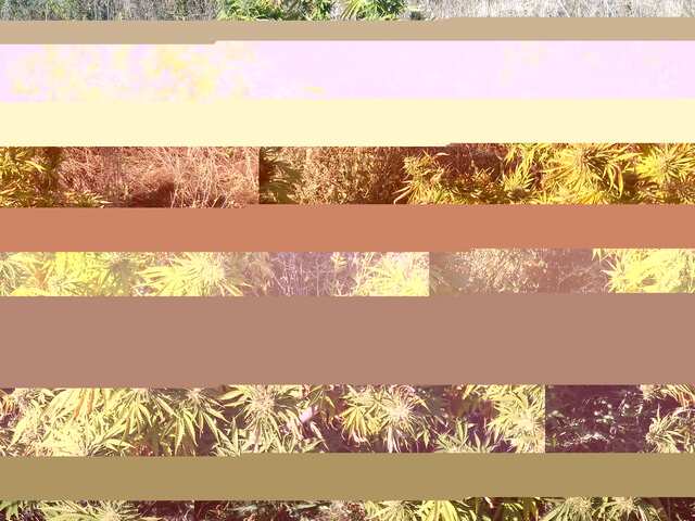 20181010_094108.jpg