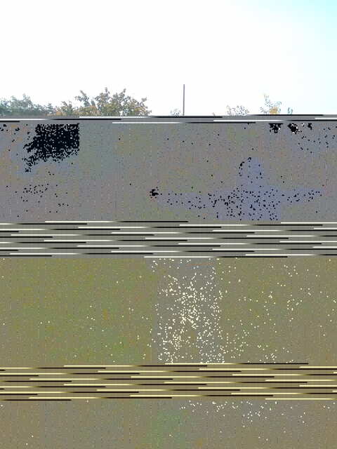 20181021_122117.jpg