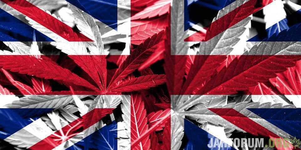 1658779765_large_UK-MedicalMarijuana1.jpg.906c9b26e8b513e80d2ad410d31f7585.jpg