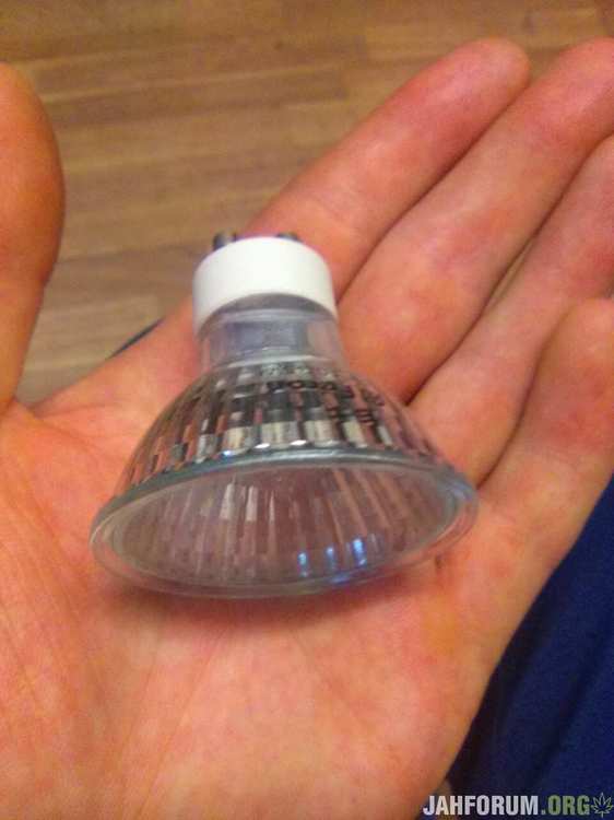 IMG-1f6e6d7f3b5c81203d1bf63d4a5e3143-V.thumb.jpg.1fd509715ce98df0ad7ca1a45a014700.jpg