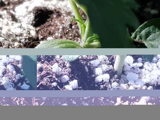 20181010_212249.jpg