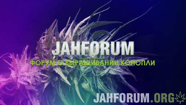 jahforum.jpg