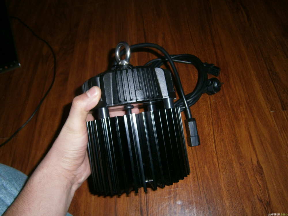 P1010315.JPG