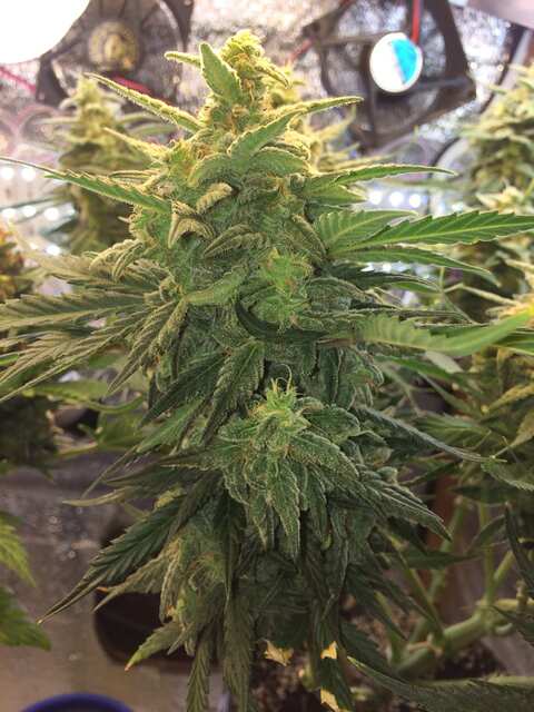 7DFA5D6B-33E9-4BA8-99F9-28207898CFB8