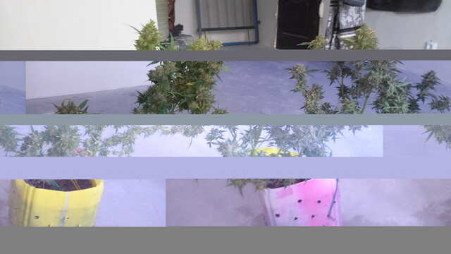 P90224-143626.jpg