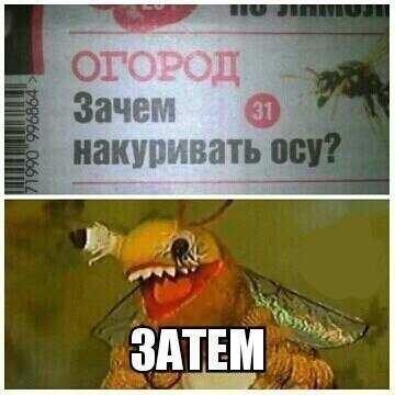 DcHEzE8cU8M.jpg