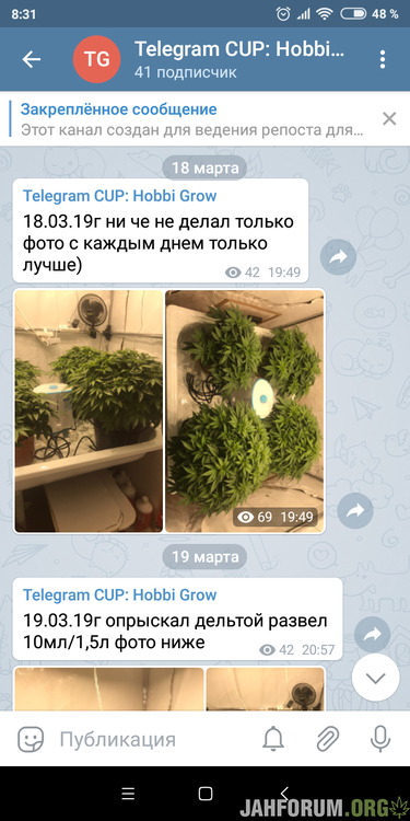 Screenshot_2019-04-21-08-31-04-590_org.telegram.messenger.png