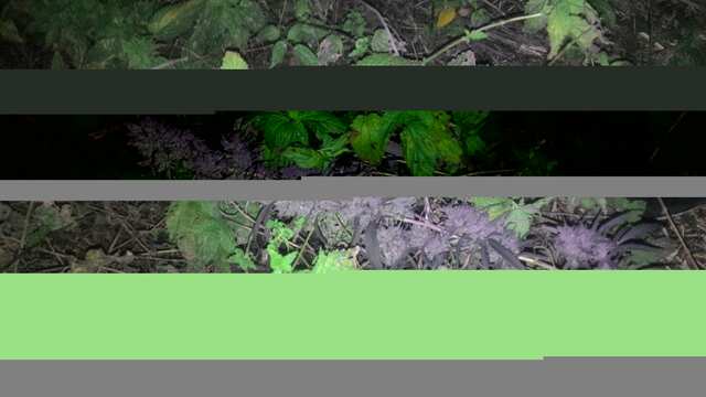 P_20181007_001334