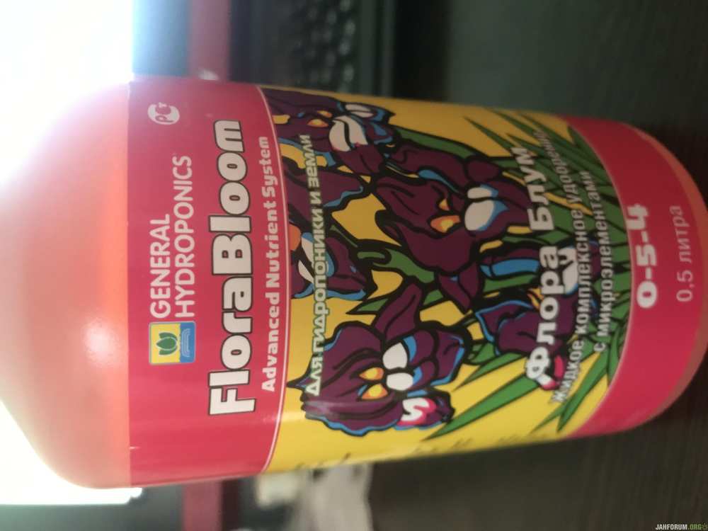 5555.JPG