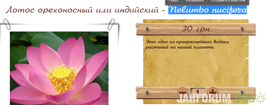 image.png.635fd31e8bd6ce447c3dc57698c9aa4c.png