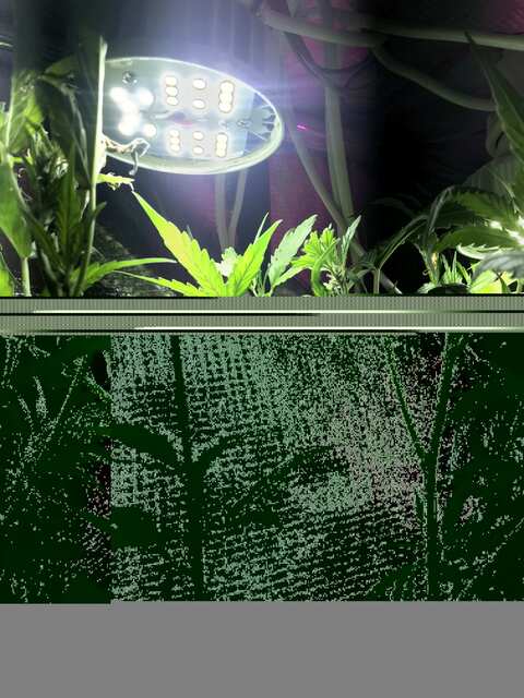 327643F3-4FBF-4DF3-AFD6-08987491EEBB.jpeg