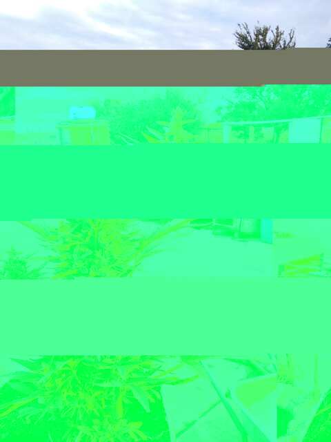 IMG_20190716_194223.jpg