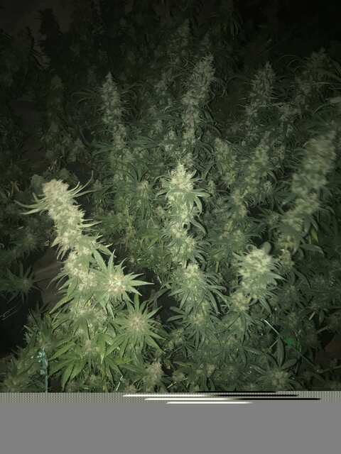 84134A20-EA50-4A74-8B90-213F3DFA02AB