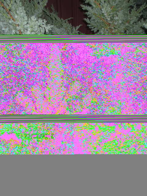 LSD...Errors Seeds...ночь на улице)))