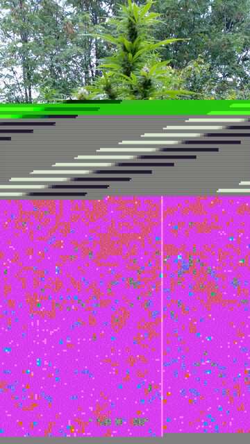 S90904-182546
