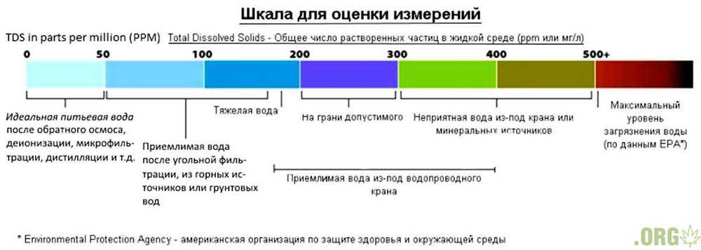 scale.jpg