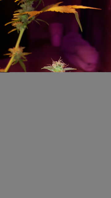 20191006_194520