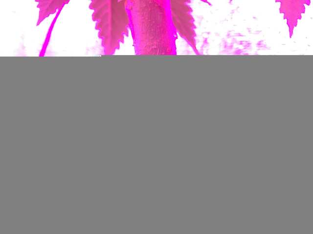 5F82CF18-0659-48CC-8084-0C117FEB1AD3