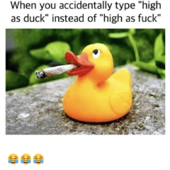 luckyduck0