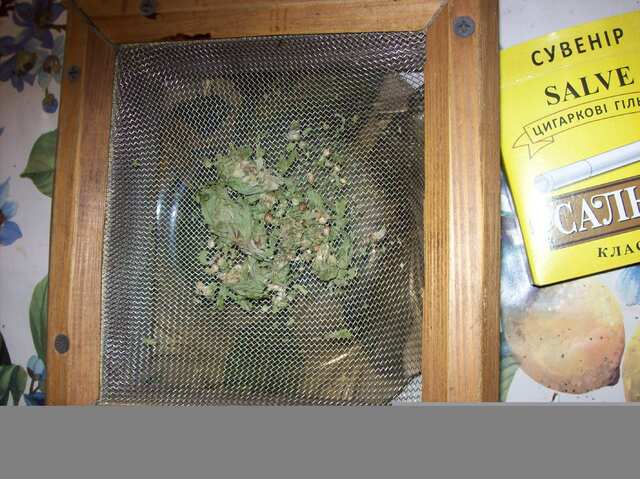 Мой гриндер