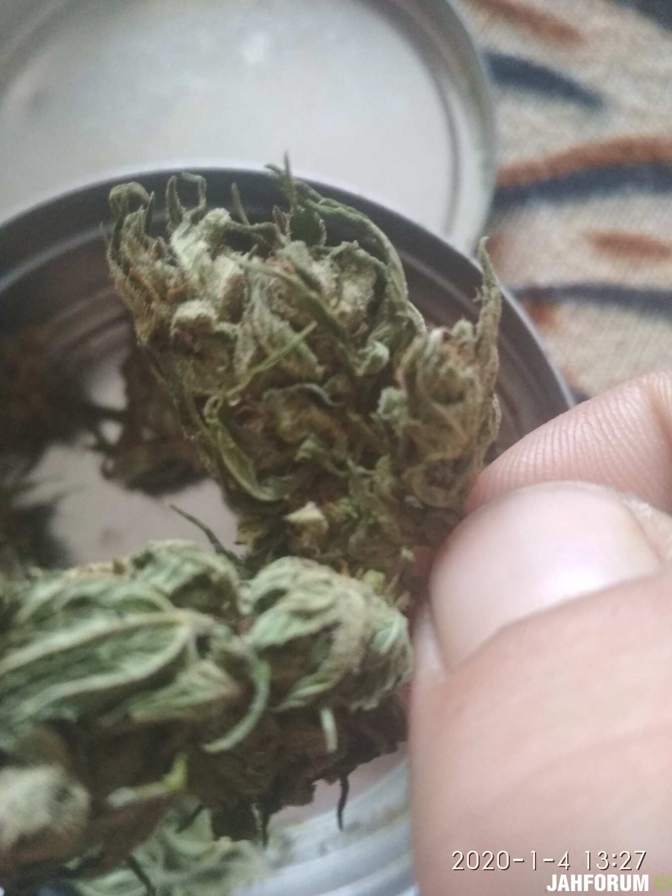 растем дома.