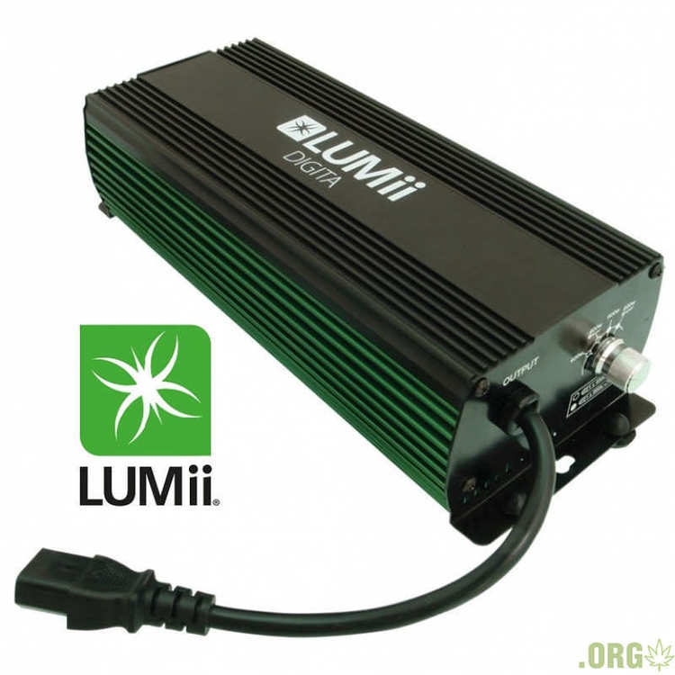 lumii-digita-600W-800x800.thumb.jpg.1602542babf0aac066dd844a9cc630e1.jpg