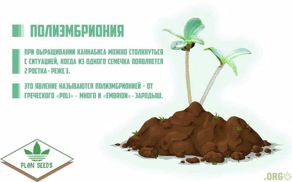 30c837d9fc4c37a13430a.thumb.jpg.9a41804ac5d277ecb7896bcec9939153.jpg