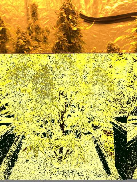 8F890776-FD7D-4A96-A54F-0249E0ADD988
