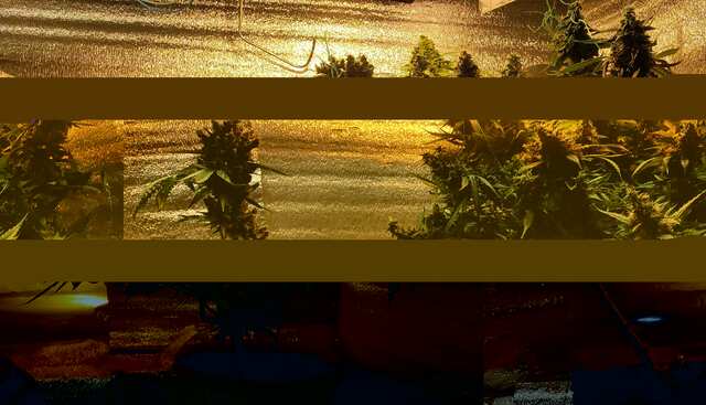 DutchKill BB 84 08 02 20