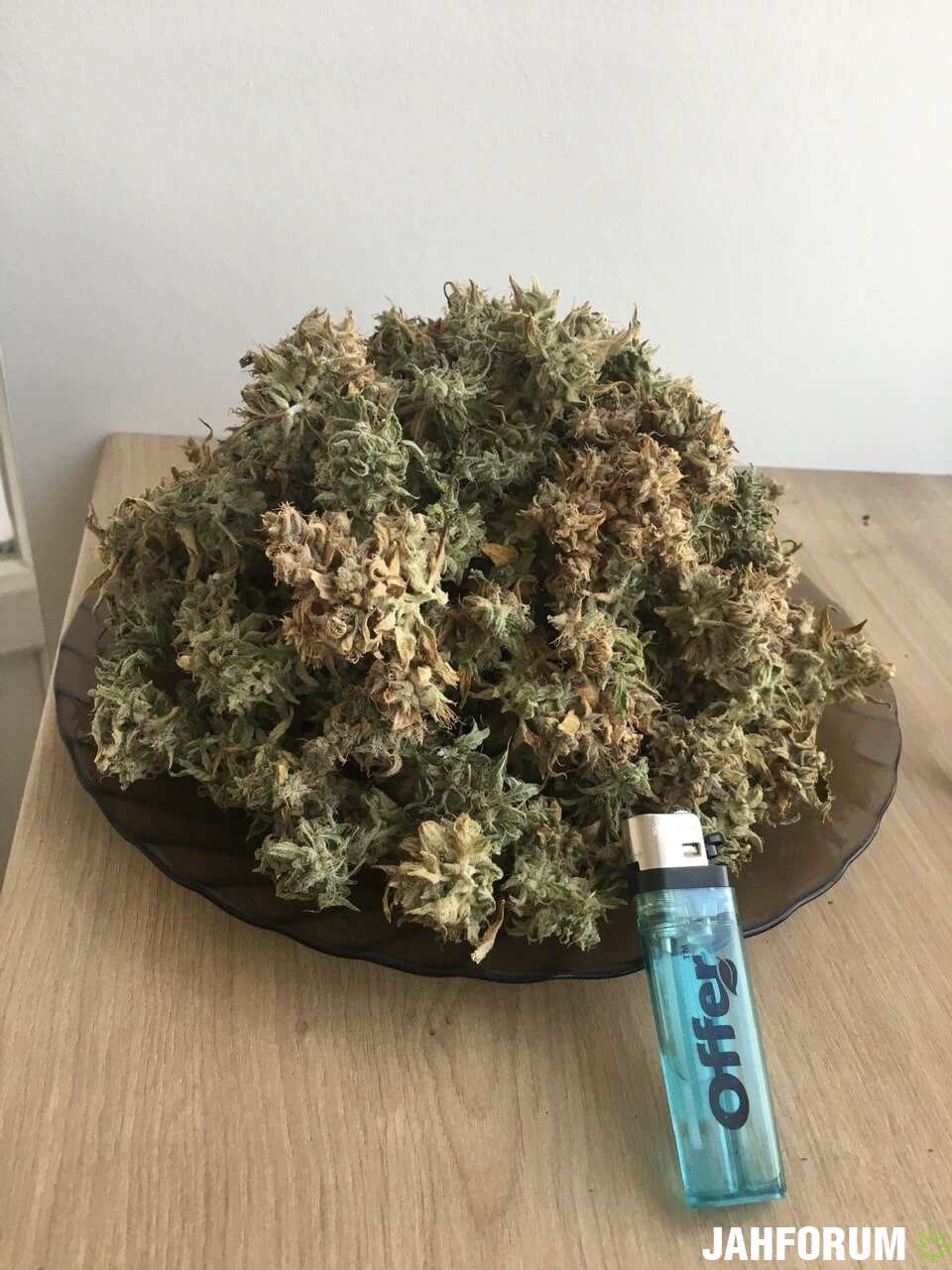 Хуйовый Auto Lemon Skunk