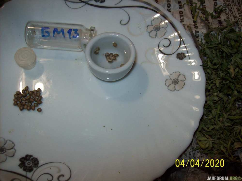 000_0002.thumb.JPG.2c3cf8e8996a4cfdf799bcd1f5775f91.JPG