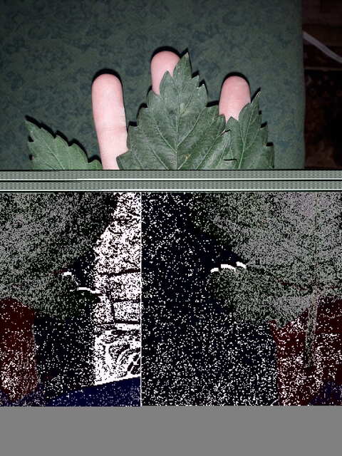 20200418_171655