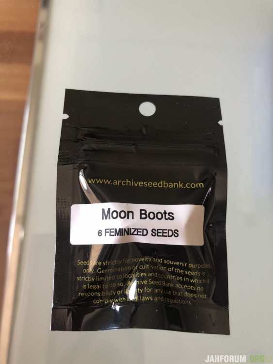 464893721_MoonBoots.thumb.jpg.e0fb616b588ec1e36612b23cfeb4a614.jpg