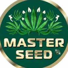 ArtemMasterSeed