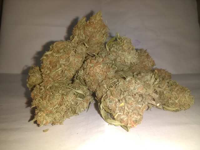 critical_orange_punch