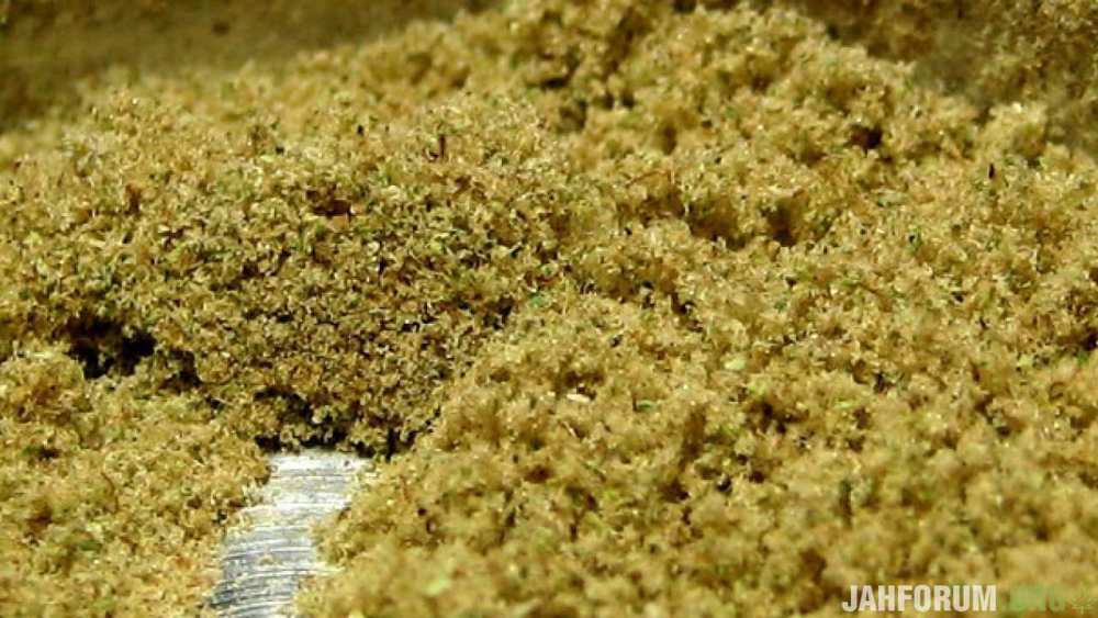 what-is-kief-weed-720x340-1280x720.jpg